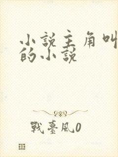 小说主角叫林染的小说封面