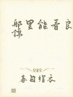 哪里能看良陈美锦