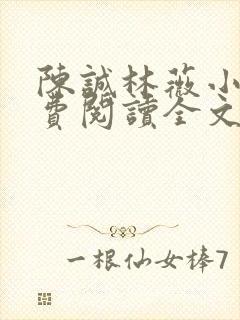 陈诚林薇小说免费阅读全文最新章节