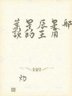 叶星辰是哪部小说的主角