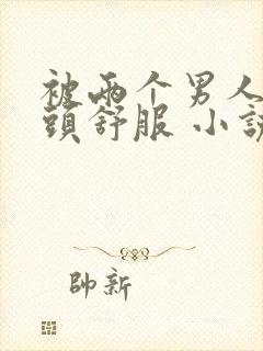 被两个男人捏奶头舒服 小说封面