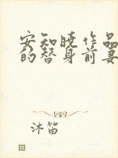 安知晓作品总裁的替身前妻封面