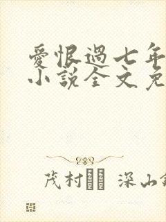 爱恨过七年原著小说全文免费阅读