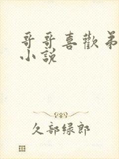 哥哥喜欢弟弟的小说封面