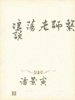 浪荡老师系列小说封面