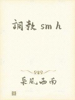 调教 sm h