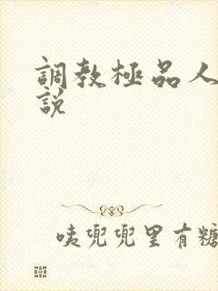 调教极品人妻小说封面