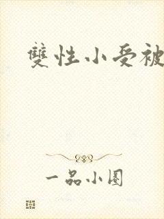 双性小受被调教