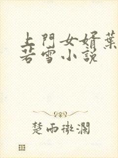 上门女婿叶凡唐若雪小说封面