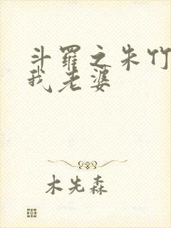 斗罗之朱竹清是我老婆