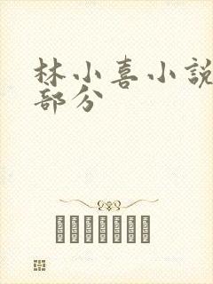 林小喜小说第二部分