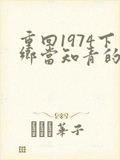 重回1974下乡当知青的小说