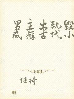 男主出轨毁三观成瘾古代小说封面