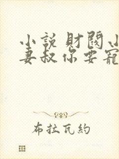 小说 财阀小娇妻叔你要宠坏我