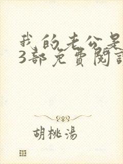 我的老公是冥王3部免费阅读全文