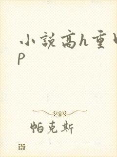 小说高h重口np
