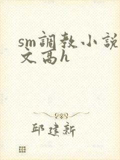 sm调教小说辣文高h