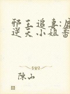 邪王追妻:废材逆天小姐番外