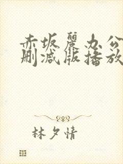 赤坂丽办公室无删减版播放