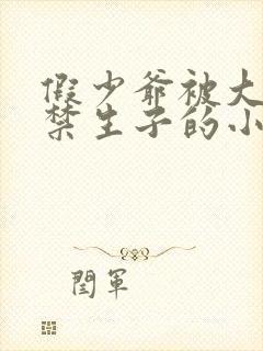 假少爷被大哥囚禁生子的小说