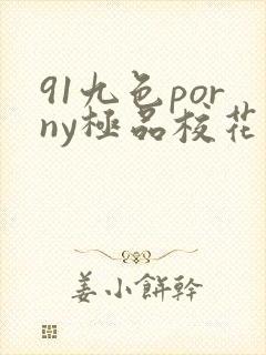 91九色porny极品校花在线观看