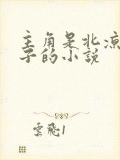 主角是北凉王世子的小说