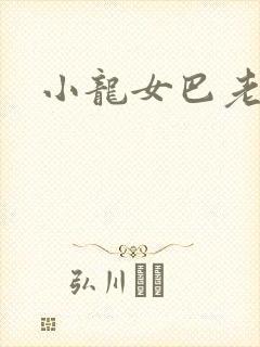 小龙女巴老h文