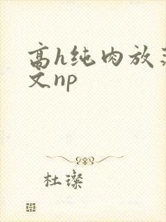 高h纯肉放荡h文np封面