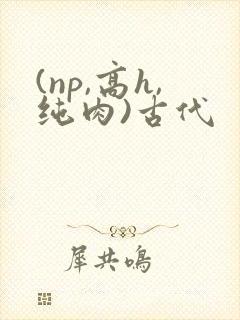 (np,高h,纯肉)古代
