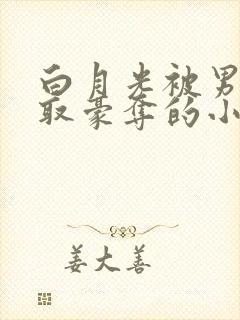 白月光被男主强取豪夺的小说