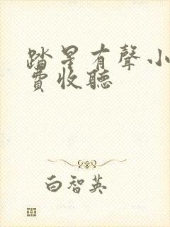 踏星有声小说免费收听