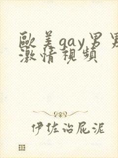 欧美gay男男激情视频