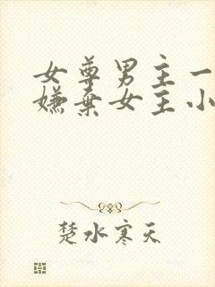 女尊男主一开始嫌弃女主小说封面