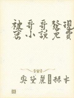 被哥哥发现的秘密小说免费阅读全文