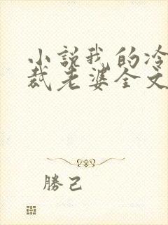 小说我的冷艳总裁老婆全文阅读