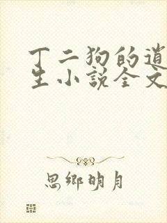 丁二狗的逍遥人生小说全文无删减