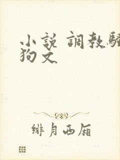 小说 调教骚母狗文