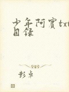 少年阿宾txt目录