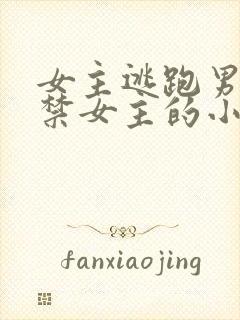 女主逃跑男主囚禁女主的小说