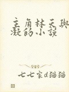 主角林天与洛冰凝的小说