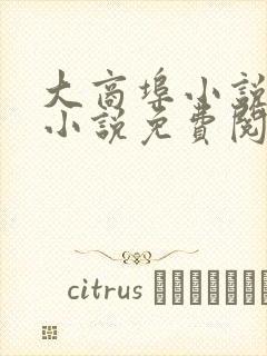 大商埠小说原著小说免费阅读