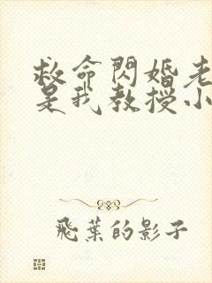 救命闪婚老公竟是我教授小说免费阅读封面