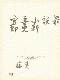 官妻小说最新章节更新