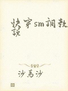 快穿sm调教小说