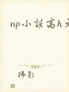 np小说高h文