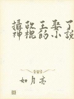 摄政王娶了个小神棍的小说