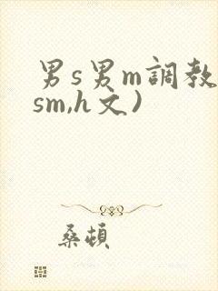 男s男m调教(sm,h文)