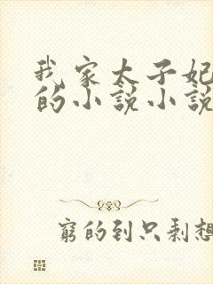 我家太子妃超凶的小说小说