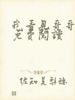 我看见哥哥小说免费阅读封面