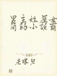 男主姓厉女主姓简的小说霸道总裁封面